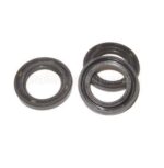 Oil Seal Kit for Comet