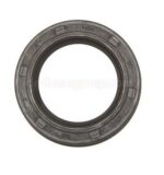 Oil Seal for Comet