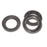 Oil Seal Kit for Comet