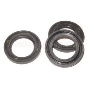 Oil Seal Kit for Comet