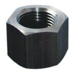 Burst Disc Holder 12" F