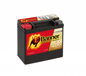 Pressure Washer Batteries